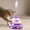 Purple, variant on Dnogom 3-Layer Interactive Cat Turntable Toy with Feathers & Balls, Multi-Cat Boredom Relief Cats Toys Activity Center for All Ages Cats