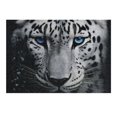 thumbnail image 6 of Shiartex Tiger Wooden Jigsaw Puzzles for Adults - Premium Eco-Friendly Leisure Game Gift, Family Friends, Home Decor 300 PCS, 6 of 6