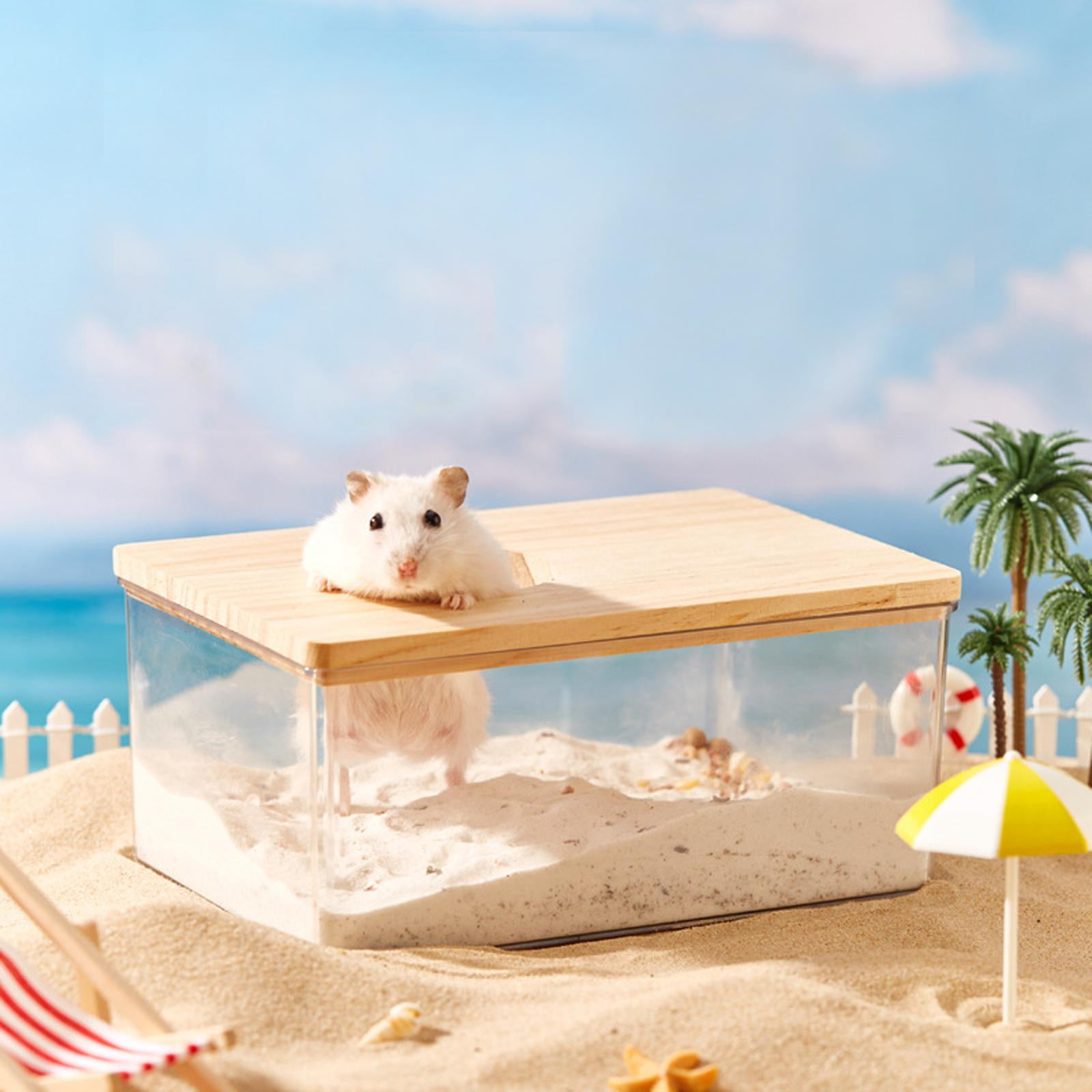 Large Hamster Sand Bath Box - Transparent Acrylic Bathroom Container For Small Pets