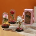 2024 Fall Valentine Gift Rose Flower Glass Cover LED Home Decoration