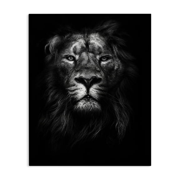 Stupell Industries Eclectic Lion In Shadows Photography Canvas Art, 16 x 20, by Design Fabrikken