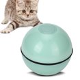 thumbnail image 1 of Cat Puzzle Toy,Pet Cat Flash Roll Cat Training Toy Pet Cat Electric Ball Toy High-Precision Functionality, 1 of 8