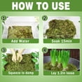 thumbnail image 3 of Zeedix 3.3LB sphagnum moss for plants，75QT Natural Long-Fiber moss ,Premium moss for Terrariums，Orchids，Succulents，Carnivorous Potted Plant，Gardening & Reptiles, 3 of 3