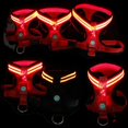 thumbnail image 3 of Dog Harness Light up Adjustable Simple Dog Vest Puppy Harness for Night Walking, 3 of 10