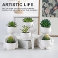 thumbnail image 4 of Pot Succulent Simulé, Pot Succulent Créatif pour Décoration Intérieure, 4 of 8