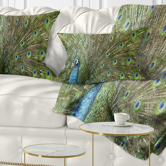Designart Beautiful Peacock with Feathers - Animal Throw Pillow - 12x20