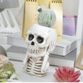 thumbnail image 5 of Uuiauoio Halloween Skull Planter with Hand-Painted , Resin Decorative Flower Pot for Indoor Outdoor Garden, Party Decor, and Spooky Scene Setting, 5 of 6