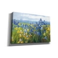 thumbnail image 2 of Epic Graffiti 'Blue And Yellow Flower Field' by Carol Rowan, Giclee Canvas Wall Art, 60"x40", 2 of 8