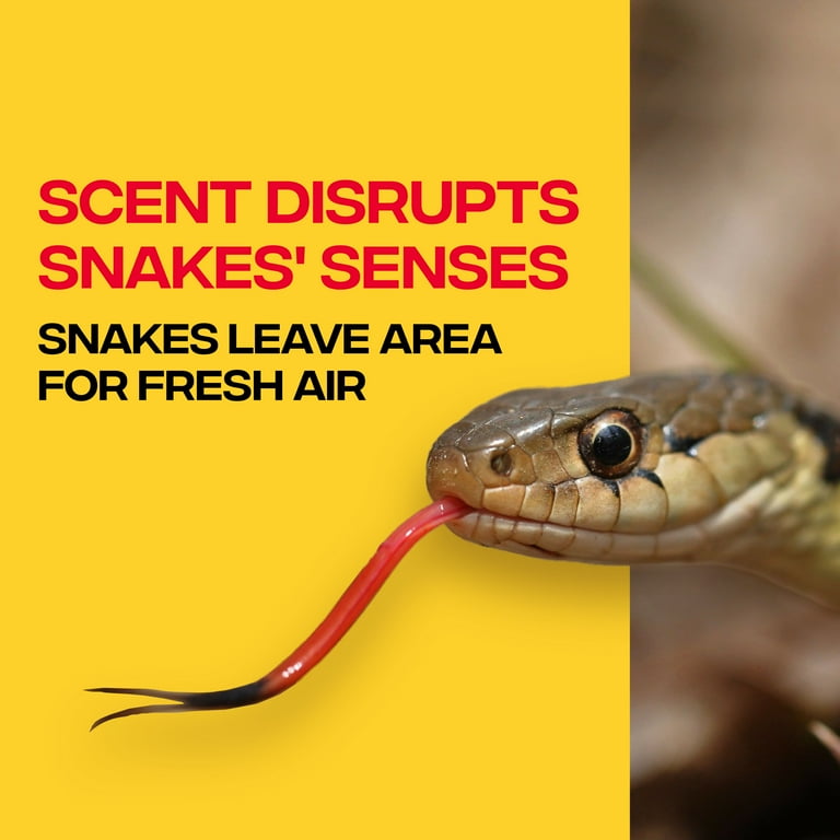 Victor Snake-A-Way Snake Repellent Granules, 4 lb Bag photo 4