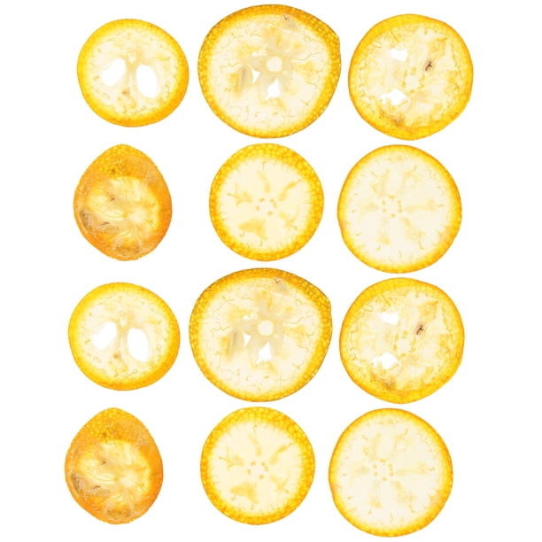 Muestra de fruta de muestra de 12 piezas de color naranja para la caja del teléfono de álbumes de recortes DIY Crafts