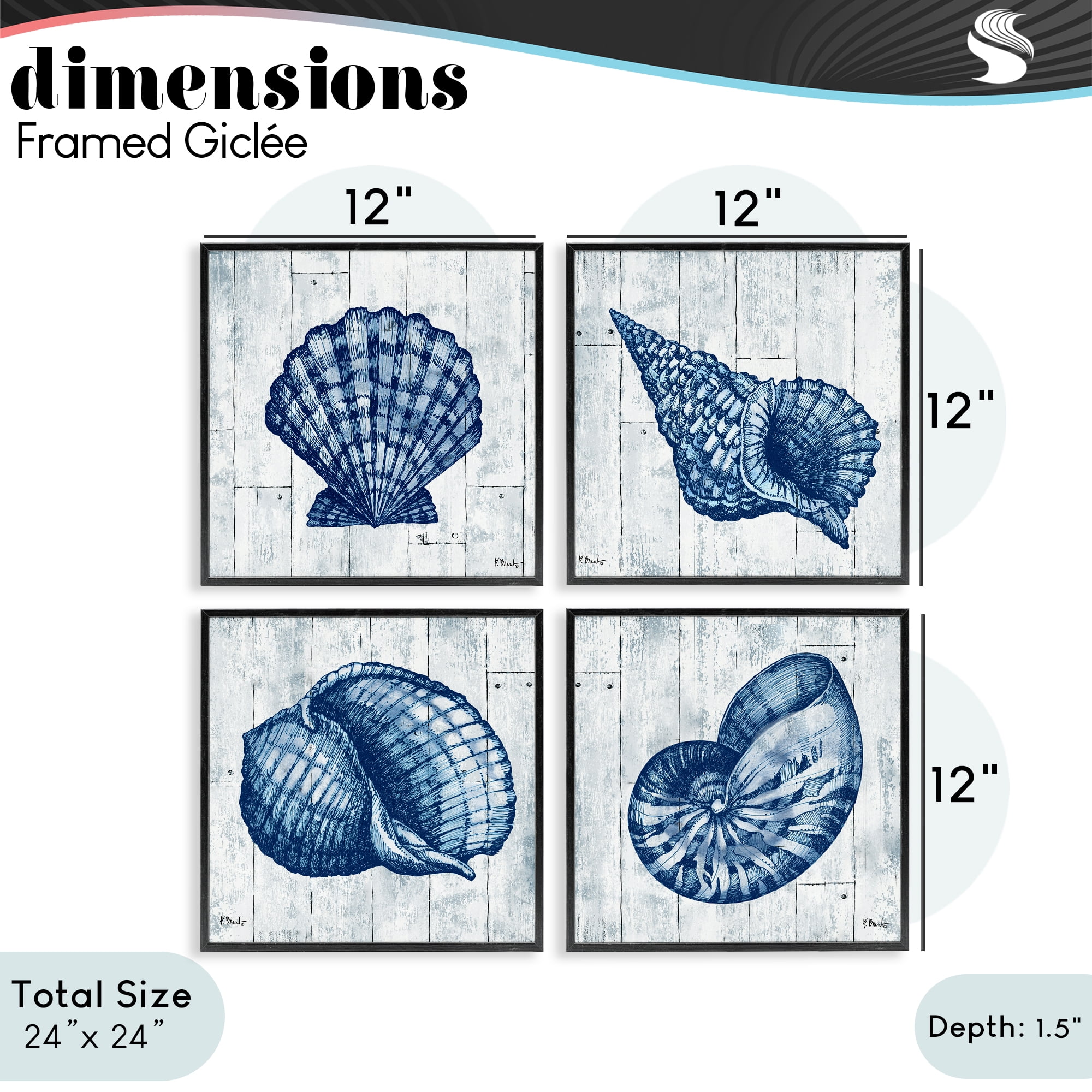Stupell Industries Coastal Timberland Seashells 4 Piece Black Framed Giclee Art Set, design by Paul Brent