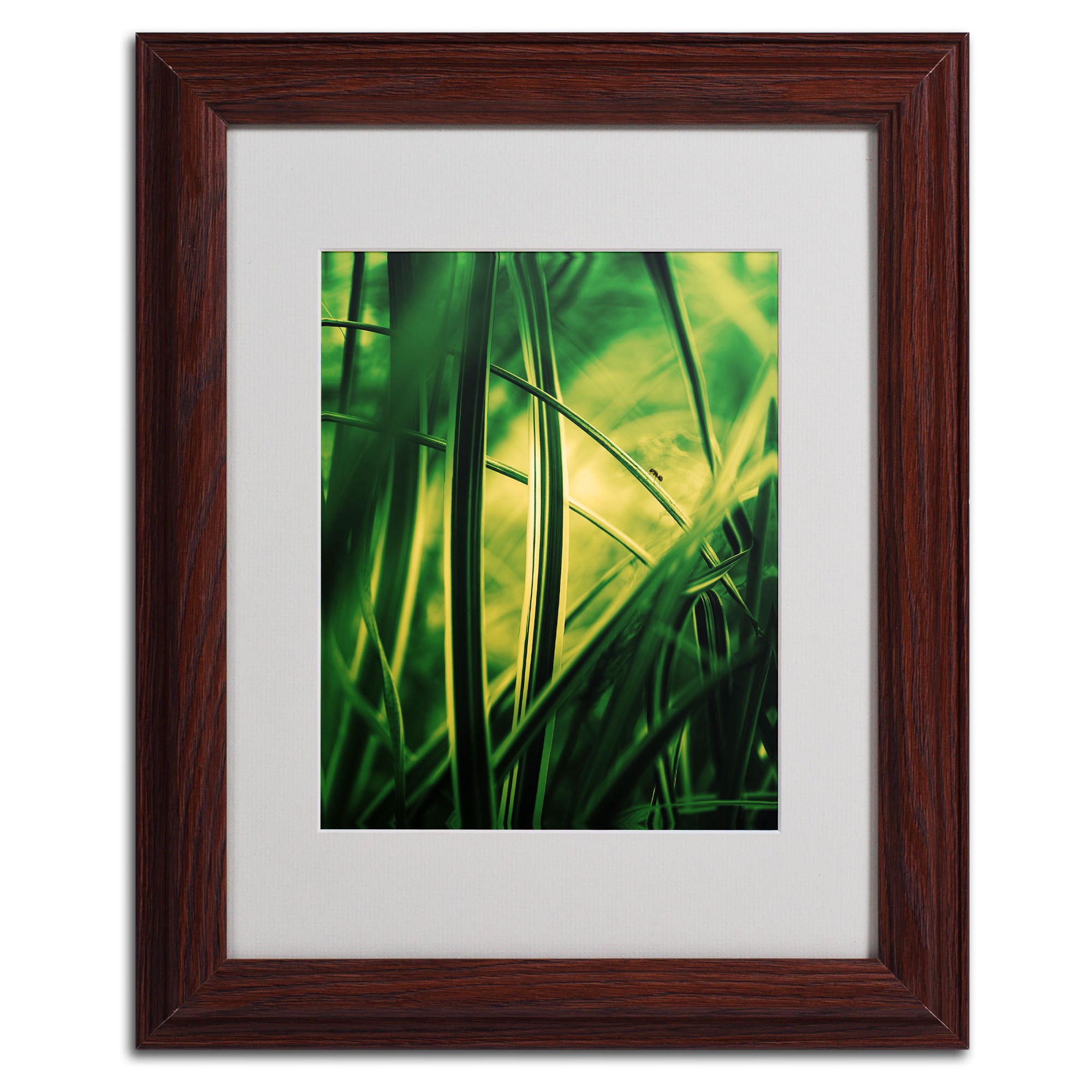Trademark Philippe Sainte-Laudy "Miniature" Art White Matte With Black Frame 16" x 20"