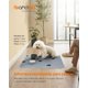 thumbnail image 2 of Feandrea Alfombras Lavables para Perros, Alfombras Absorbentes Reutilizables, 91 x 86 cm, Juego de 2, M, para Gatos, Conejos, Gris, 2 of 5