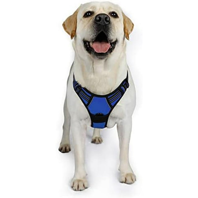 rabbitgoo No-Pull Pet Harness with 2 Leash Clips Adjustable Soft Padded Reflective No-Choke Pet Oxford Vest with Easy Control Handle for Large Dogs Pink L
