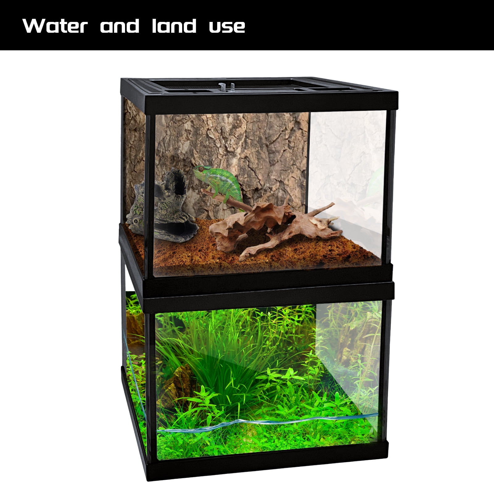 Mini Reptile Glass Terrarium Tank 8 * 8 * 6" Full View, Amphibians Box Habitat Enclosure Cage for Frog,Spiders,Dubia Cockroach,Praying Mantis,Cricket,Tarantula,Hermit Crab