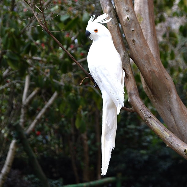 Nvzi pieza de pájaros artificiales de 13,8 pulgadas, loro realista con modelo de decoración de loro con plumas realistas para decoración artesanal, pelo blanco A