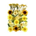 thumbnail image 2 of 30 piezas de flores secas prensadas reales, kit natural a granel de hojas secas para manualidades, Amarillo, 2 of 3
