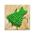 thumbnail image 2 of Trademark Fine Art "White on Green" Canvas Art by Roderick Stevens, 2 of 4