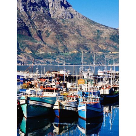 Fishing Boats in Hout Bay Marina, Cape Town, South Africa Print Wall Art By Pershouse