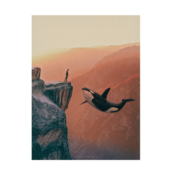 Trademark Fine Art spacerocket art 536 Canvas Wall Art