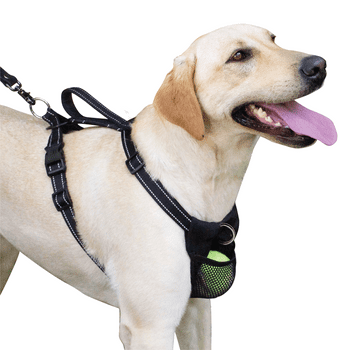 Sporn Nylon Non-Pulling Dog Harness, Black, M/L (22" to 30" Chest Size)