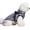Sliver Grey, variant on BT Bear Pet Clothes, Dog Vest Jacket Waterproof Coat Harness Cold Weather Costume for Puppy Small Medium Dogs (M, Purple)