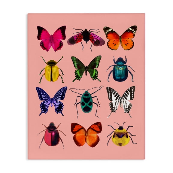 Colorful Bug Species on Pink Canvas Wall Art, design by LISH Creative