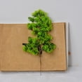thumbnail image 5 of zhangmingg Branches for Home Lifelike Greenery Enhancing Any Interior Design Style, 5 of 5