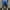 Blue, variant on Turilly Men's Summer Shorts Elastic Waist Khaki ShortsEuropean And American Running Breathable Shorts Loose Hot Selling New Style L