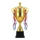thumbnail image 2 of Trofeo para adultos Copa de trofeo de participación, Trofeo de logros, Trofeo divertido, Copa de trofeo de premio Trofeo para niños para ceremonias de Altura 535 cm Hugo mini trofeo, 2 of 10