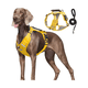thumbnail image 2 of Pechera Arnés De Seguridad Para Perro  Malubero AMARILLO talla XL, 2 of 5