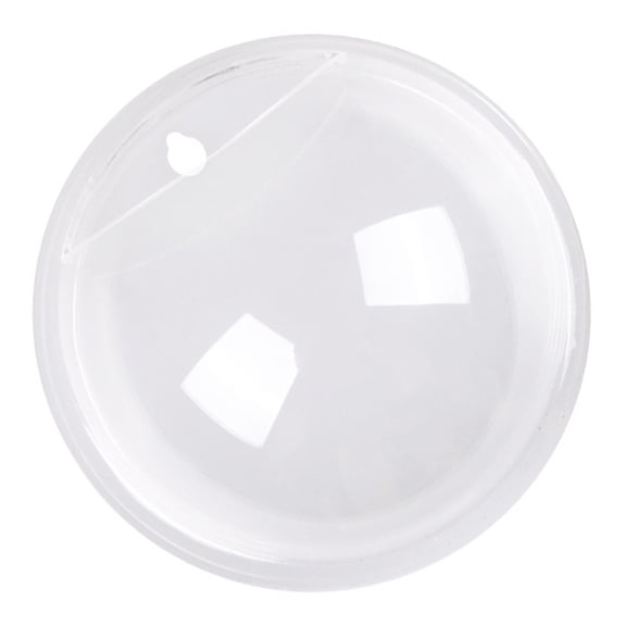 LOLIPPYY Clear Acrylic Wall Fish Tank Modern Decorative Plant Pot for Storage