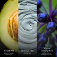 thumbnail image 4 of Mascarilla de barro Borghese Advanced Fango Active 80 ml, 4 of 7