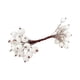 thumbnail image 1 of Bayas de acebo artificiales escarchadas, palitos navideños para decoración del hogar, 20 tallos de alambre Blanco, 1 of 9