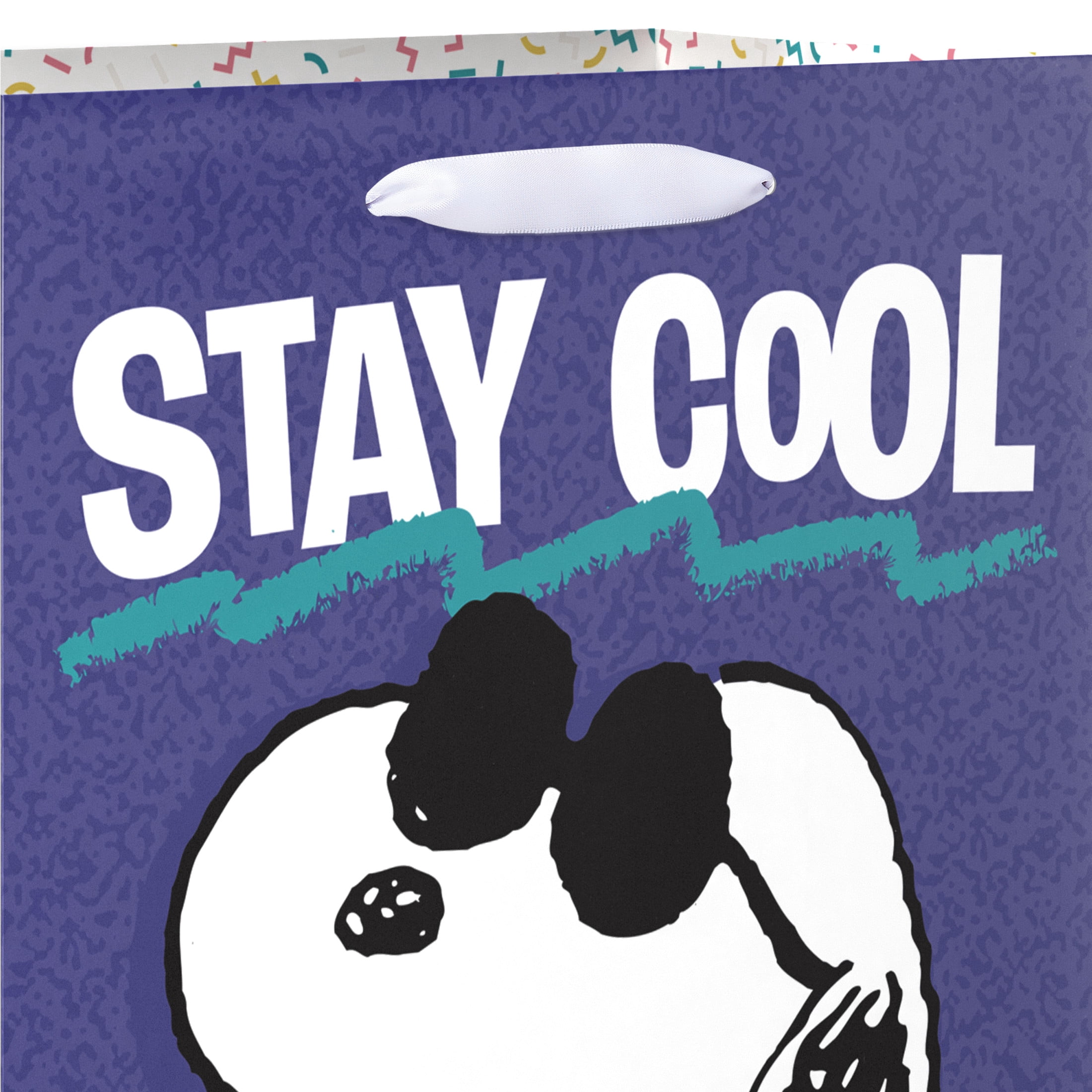American Greetings 10 in. Blue Medium Snoopy and Woodstock Gift Bag, Stay Cool (1-Count)