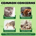 thumbnail image 3 of Oimmal Cat Grass Sticks for Indoor Cats, 60g Freeze Dried Cat Grass Sticks for Removal Hairball, Supports Digestive Health for Cats, Fresh Breath - Chicken Flavor, 3 of 12
