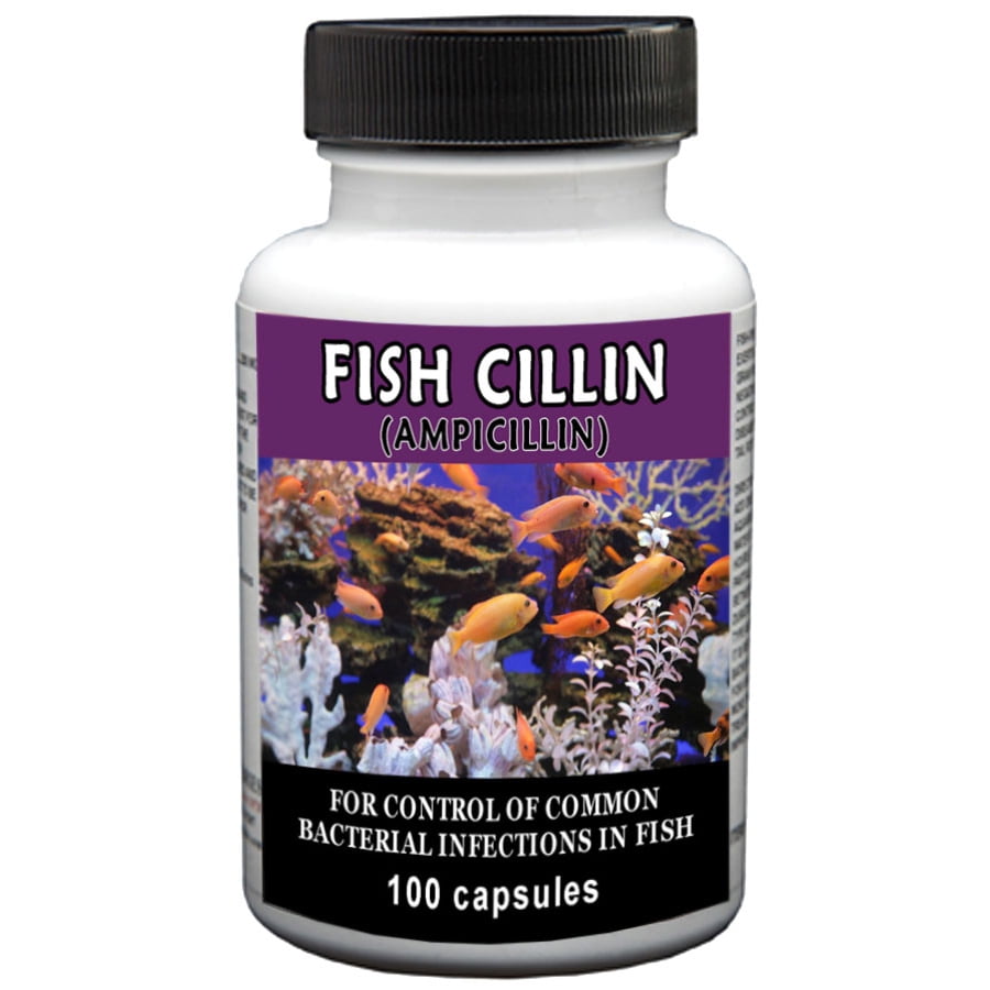 Thomas Labs Fish Cillin Fish Antibiotic Medication, 100
