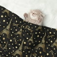 thumbnail image 2 of Disketp Paris Romantic Dog Blanket/Bed Cover for Dogs and Cats,Puppy Essentials-Small, 2 of 8