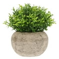 thumbnail image 1 of KAKOWELY Mini planta de simulación de plástico, adorable adorno de escritorio, planta artificial., 1 of 5