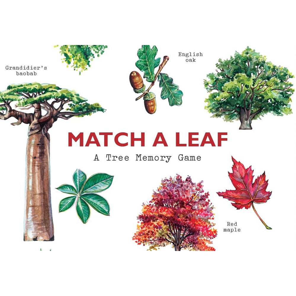 Match a Leaf : A Tree Memory Game (Game) - Walmart.com - Walmart.com