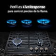thumbnail image 4 of Parrilla de 4 quemadores para uso de gas empotrable, 4 of 6