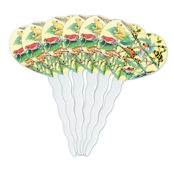Tropical Rainforest Frogs Froggies Dart Heart Love Cupcake Picks Toppers Decoration Set of 6