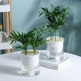thumbnail image 5 of Visland 2Pcs Self Watering Planter, African Violet Pots, Flower Plant Pot for Various Plants / Flowers / Succulent Plants, 5 of 7