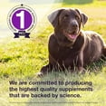 thumbnail image 6 of Nutramax Denamarin Liver Health Supplement for Large Dogs - with S-Adenosylmethionine (SAMe) and Silybin, 30 Blister Pack Tablets, 6 of 8