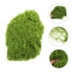 thumbnail image 4 of 1 paquete de musgo artificial realista para manualidades, peceras y proyectos de micropaisaje, simulación de musgo, bonsái, decoración decorativa de terrario con musgo falso, 4 of 5