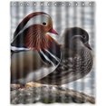 thumbnail image 1 of Cortina de ducha ABPHQTO Impermeable Estampado Pato Mandarín 150x180 cm, 1 of 2