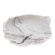 thumbnail image 5 of Plato de alimentación de reptil Salvador 2x Turtle Feeder Dish Food Water Bowl Tray, 5 of 10
