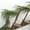 #3, variant on 6ft Artificial Pine Vines - Bendable Christmas Garland for DIY Wreaths & Holiday Decor (Green)