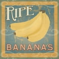 thumbnail image 2 of Vess, June Erica 15x15 White Modern Wood Framed Museum Art Print Titled - Farm Stand Collection F, 2 of 4