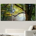 thumbnail image 2 of wall26 - 3 Piece Canvas Wall Art - Mighty Oak Tree - Modern Home Art Stretched and Framed Ready to Hang - 16"x24"x3 Panels, 2 of 7